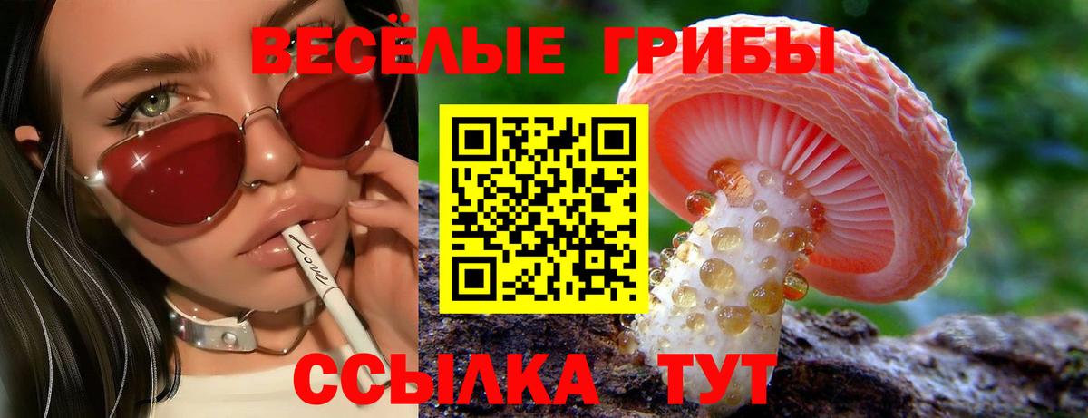 Галлюциногенные грибы Psilocybine cubensis  Вход с VPN  Гуково 