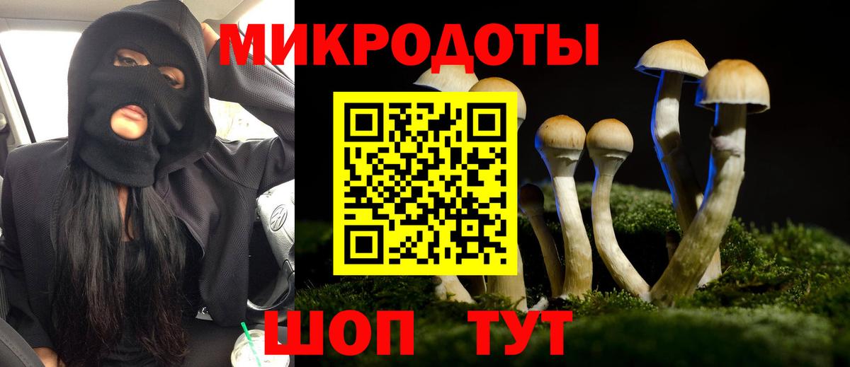 Галлюциногенные грибы Psilocybe  Галлюциногенные грибы GOLDEN TEACHER  как найти наркотики  Гуково 